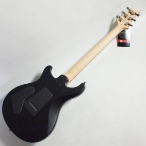 PRS SE Swamp Ash CE 24 ...の詳細画像3
