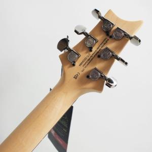 PRS SE Swamp Ash CE 24 ...の詳細画像5