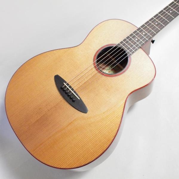 aNueNue aNN-LF550E センターホール仕様 エレアコ〈アヌエヌエ〉