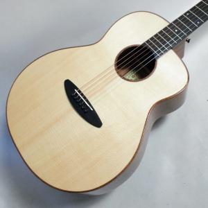 aNueNue aNN-M10 BirdGuitar ミニアコースティックギター