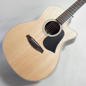 Singer Acoustic Imagine Series P01 アコースティックギター