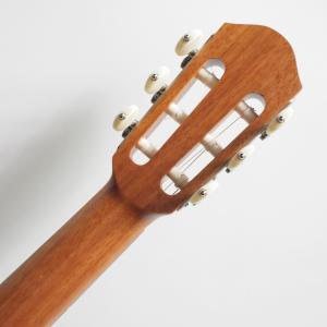 aNueNue Bird Guitar Ser...の詳細画像5