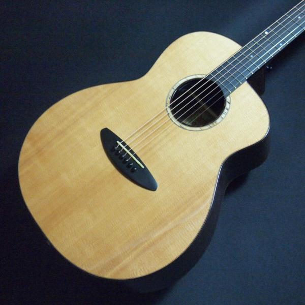 aNueNue aNN-LF660E オール単板 SOLID TORREFIED SITKA SPR...