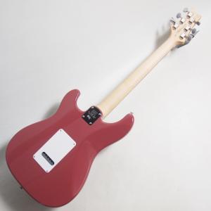 PRS SE Silver Sky Derby...の詳細画像3