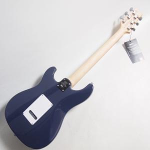 PRS SE Silver Sky Trad ...の詳細画像3