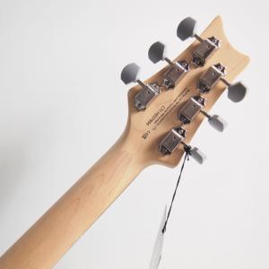 PRS SE Silver Sky Trad ...の詳細画像5