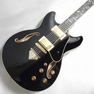 Ibanez（アイバニーズ） セール特価品 新品 / AF75-BS フルアコ フル