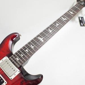 PRS S2 Special Semi-Hol...の詳細画像1