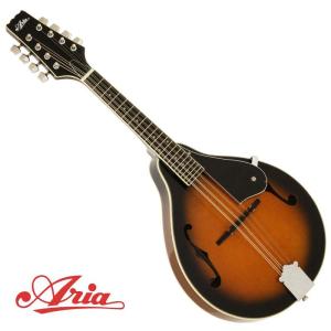 マンドリン 楽器 初心者 マンドリン入門セット - 映像と音の友社