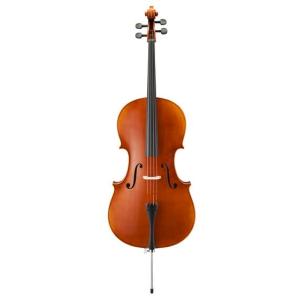 Hallstatt ハルシュタット チェロ HC-450 入門セット〔大型荷物 沖縄
