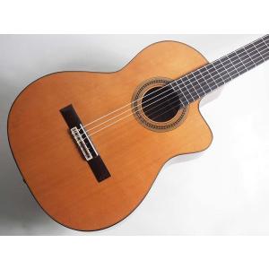 ESP/Charプロデュース BambooInn-C バンブーイン : 楽器de元気 - 通販