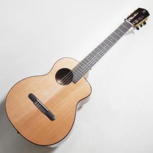 aNueNue Bird Guitar Ser...の詳細画像1