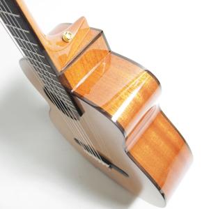 aNueNue Bird Guitar Ser...の詳細画像3