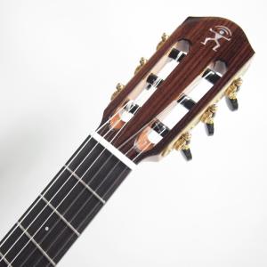 aNueNue Bird Guitar Ser...の詳細画像4