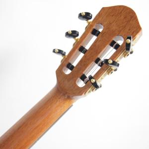 aNueNue Bird Guitar Ser...の詳細画像5