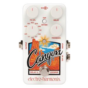 Electro Harmonix Canyon Delay & Loopers ディレイ + ルーパー〈エレクトロハーモニクス〉｜gakki-de-genki