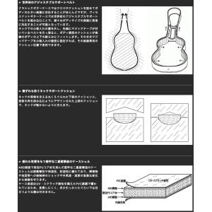 Visesnut Guitar Case Pr...の詳細画像1