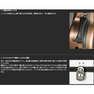 Visesnut Guitar Case Pr...の詳細画像2