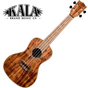 T's Ukulele ティーズウクレレ ソプラノサイズ SD-100 マホガニー