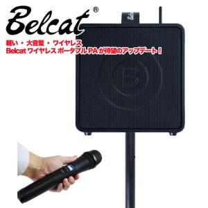 Belcat BWPA-30W (チャンネル選択対応モデル) 簡易型PAシステム〈ベルキャット〉｜gakki-de-genki