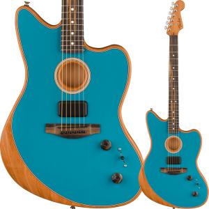 aNueNue Bird Guitar Series aNN-MN14E エレガットモデル〈アヌエヌエ