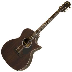 ARIA（アリア） Aria FET-500 Electric Acoustic Guitar