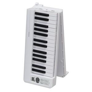 CASIO（カシオ） Casio CPS-80s キーボード 電子ピアノ 88鍵 - f157