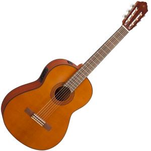 aNueNue Bird Guitar Series aNN-MN14E エレガットモデル〈アヌエヌエ