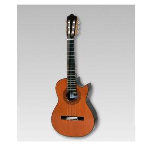 Takamine タカミネ ストレートアコースティックギター SA200 Series
