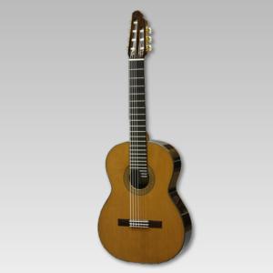 Greg Bennett グレッグベネット/アコースティックギター/D-310