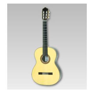 Ibanez（アイバニーズ） Ibanez GA37STCE-DVS-3R-03 Classical Guitar