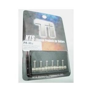 Pleasant Burns type 1960年代 ビザールギター Electric Guitar