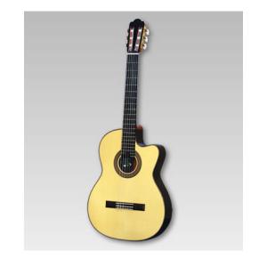 アストリアス　ビンテージC 楽天市場】【55本限定】ASTURIAS Tiny Concert Vintage C