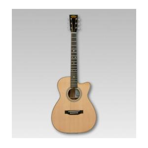 ASTURIAS アコースティック SOLO HERRINGBONE〈アストリアス〉 : 楽器