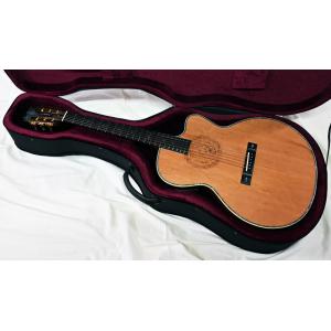 ARIA AF-501 TS Tobacco Sunburst オール単板 アコースティックギター