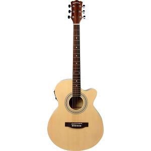 西日本限定カラー】PhotoGenic エレキギター TLタイプ TL-180/SBL-LTD