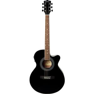 Epiphone(エピフォン)】【アコースティックギター】DR-100 NA : 楽器