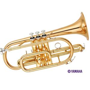 5年保証〕〔吹奏楽手帳プレゼント♪〕 YAMAHA ヤマハ YCR-4330GII B