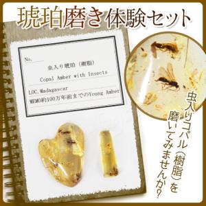 5年生の夏休み自由研究の商品一覧 通販 Yahoo ショッピング