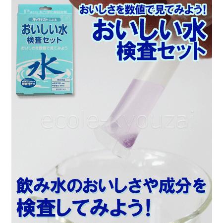 おいしい水検査キット 水質検査 環境 自由研究 夏休み 冬休み 理科 小学生 中学生 自然観察 調査