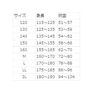 スクール水着男子 ショートトランクス ストライ...の詳細画像3