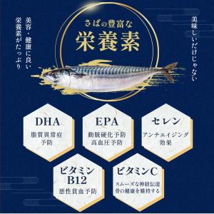 爆買 ( さば塩焼 ) 1切入 焼き前80g切...の詳細画像1