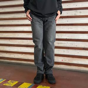 orSlow（オアスロウ） 01-5120-P95 デニムペインターパンツ USED