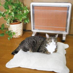 【今だけ3900円OFF】サンルミエ・エクセラ...の詳細画像5
