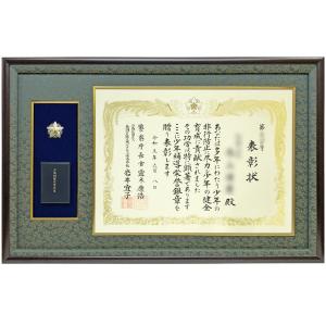 勲章ケースも飾れる叙勲額 GT24 単光章 /双光章 /小綬章専用(勲章