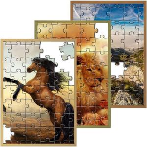 確認用　ジグソーパズル Amazon | Wildlife 33600ピース Educa ジグゾーパズル パズル 特別