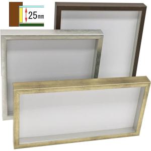 油彩キャンバス F6 額縁 壁掛け ケース ボックス 箱型 奥行 絵画 油絵