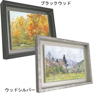 9978 F10 ガラス付 超シンプル＆細身 油絵用額縁・油彩用額縁・油絵