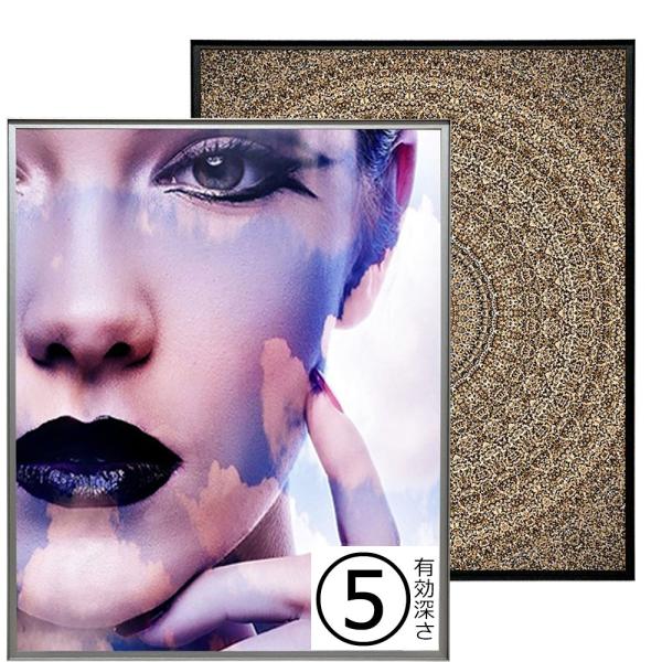 フレーム RIM(リム) UVカット強化型アクリル付 /額縁内寸法:421×595(A2)