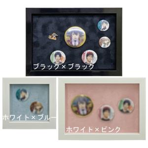ピンバッジ(ピンズ)専用額 5767 ガラス付 /額縁内寸法:298×421(A3